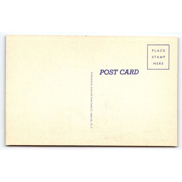 Vintage 1950s Linen Comic Postcard with Humorous Beard Poem - Picture 2 of 2